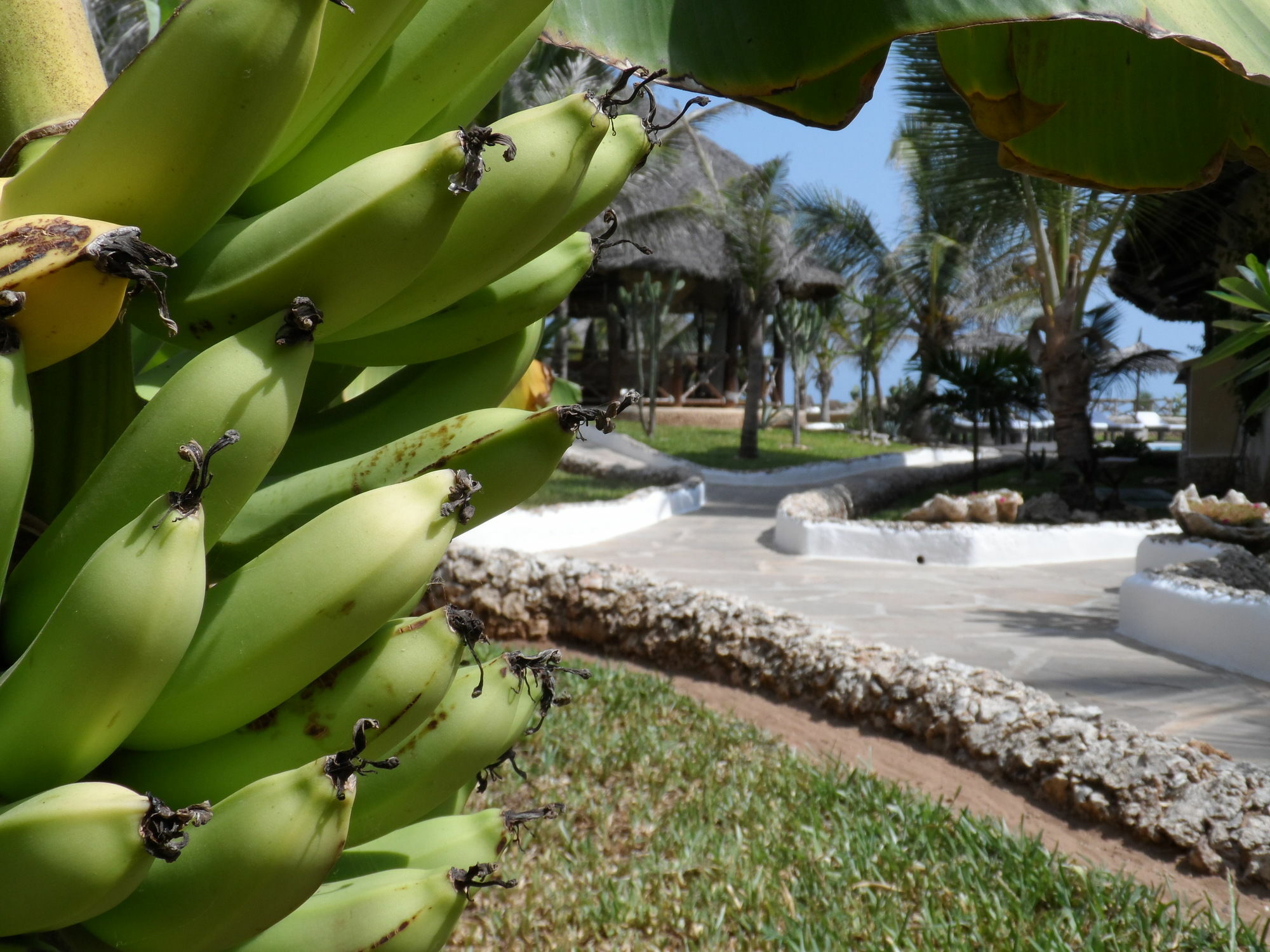 Mawe Resort Watamu Boutique Hotel Kültér fotó